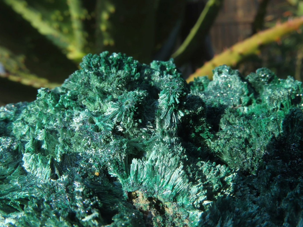 Natural Silky Malachite Specimens x 3 From Kasompe, Congo - TopRock
