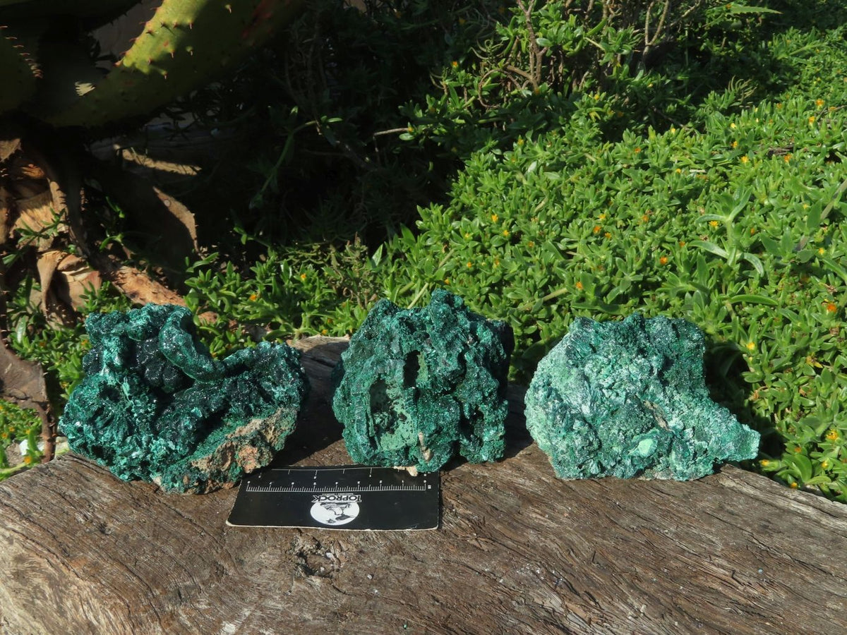 Natural Silky Malachite Specimens x 3 From Kasompe, Congo - TopRock