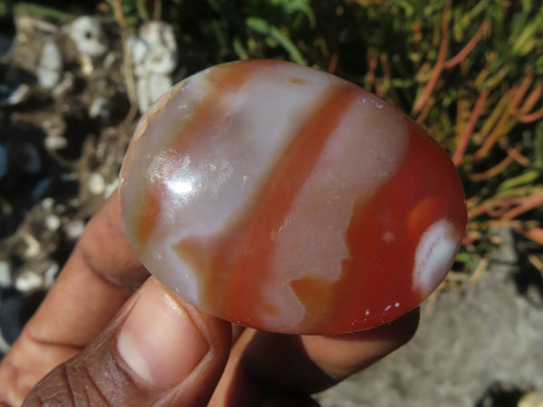 Polished Red Sashe River Agate Gallets x 16 From Zimbabwe - TopRock