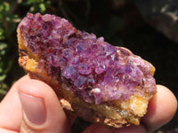 Natural Small Dark "Amethystos" Amethyst Crystal Plates  x 35 From Kwaggafontein, South Africa - TopRock