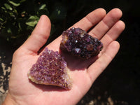 Natural Small Dark "Amethystos" Amethyst Crystal Plates  x 35 From Kwaggafontein, South Africa - TopRock