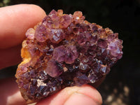 Natural Small Dark "Amethystos" Amethyst Crystal Plates  x 35 From Kwaggafontein, South Africa - TopRock