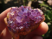Natural Small Dark "Amethystos" Amethyst Crystal Plates  x 35 From Kwaggafontein, South Africa - TopRock