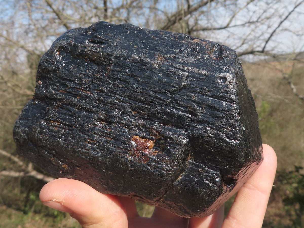 Natural Extra Large Alluvial Black Schorl Tourmaline Crystals (Stone Sealed) x 3 From Zimbabwe - TopRock