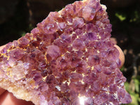 Natural Small Dark "Amethystos" Amethyst Crystal Plates  x 35 From Kwaggafontein, South Africa - TopRock