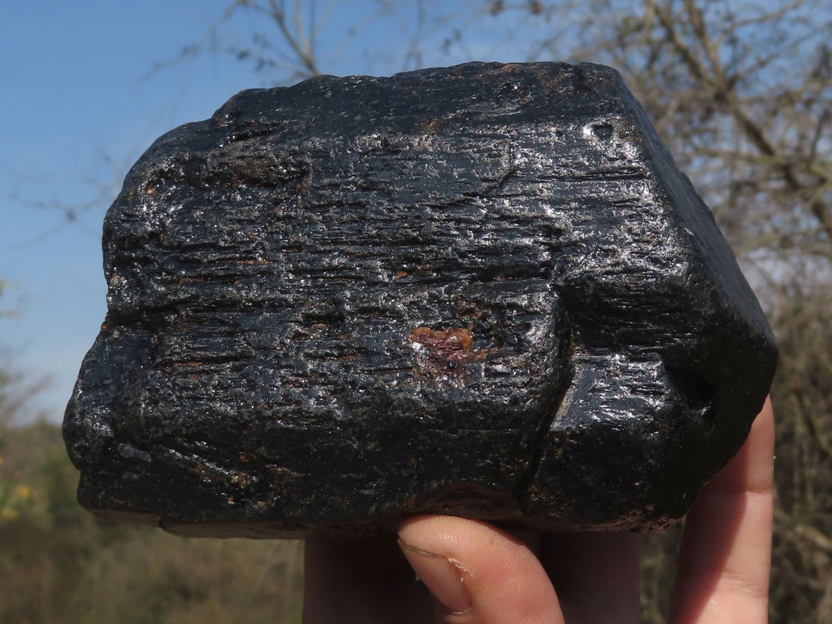 Natural Extra Large Alluvial Black Schorl Tourmaline Crystals (Stone Sealed) x 3 From Zimbabwe - TopRock