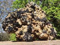 Natural Extra Large Schorl Black Tourmaline Specimen With Vermiculite  x 1 From Erongo, Namibia - Toprock Gemstones and Minerals