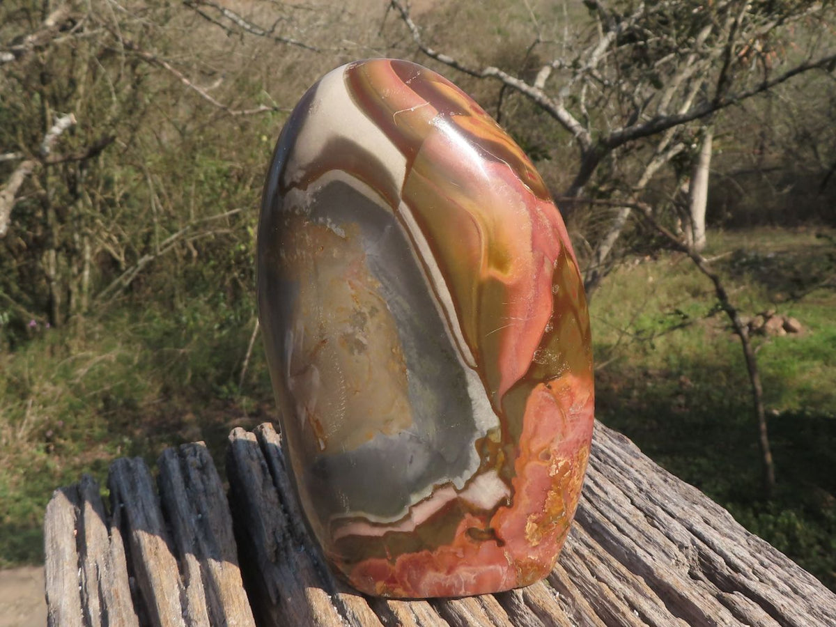 Polished Polychrome / Picasso Jasper Standing Free Form With Gorgeous Patterns x 1 From Mahajanga, Madagascar - TopRock