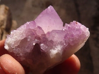 Natural Mixed Spirit Quartz Clusters x 24 From Boekenhouthoek, South Africa - Toprock Gemstones and Minerals