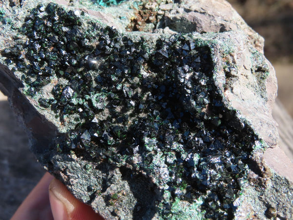 Natural  Rare Copper Phosphate Libethenite On Dolomite Cluster x 1 From Congo - TopRock