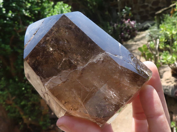 Polished Rich Smokey Quartz Crystal Point  x 1 From Madagascar - TopRock