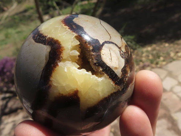 Polished Septarian (Calcite & Aragonite) Spheres x 6 From Mahajanga, Madagascar - TopRock