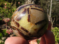 Polished Septerye Spheres  x 6 From Madagascar - Toprock Gemstones and Minerals