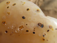 Polished Large Agate Hearts  x 6 From Madagascar - Toprock Gemstones and Minerals