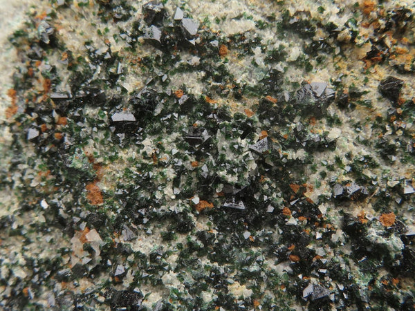 Natural Rare Copper Phosphate Libethenite On Dolomite Clusters  x 8 From Shituru, Congo - TopRock