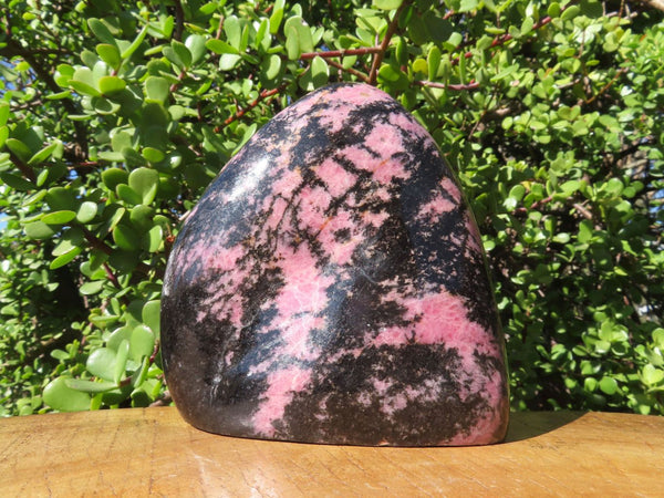 Polished Rhodonite Standing Free Form x 1 From Madagascar - TopRock