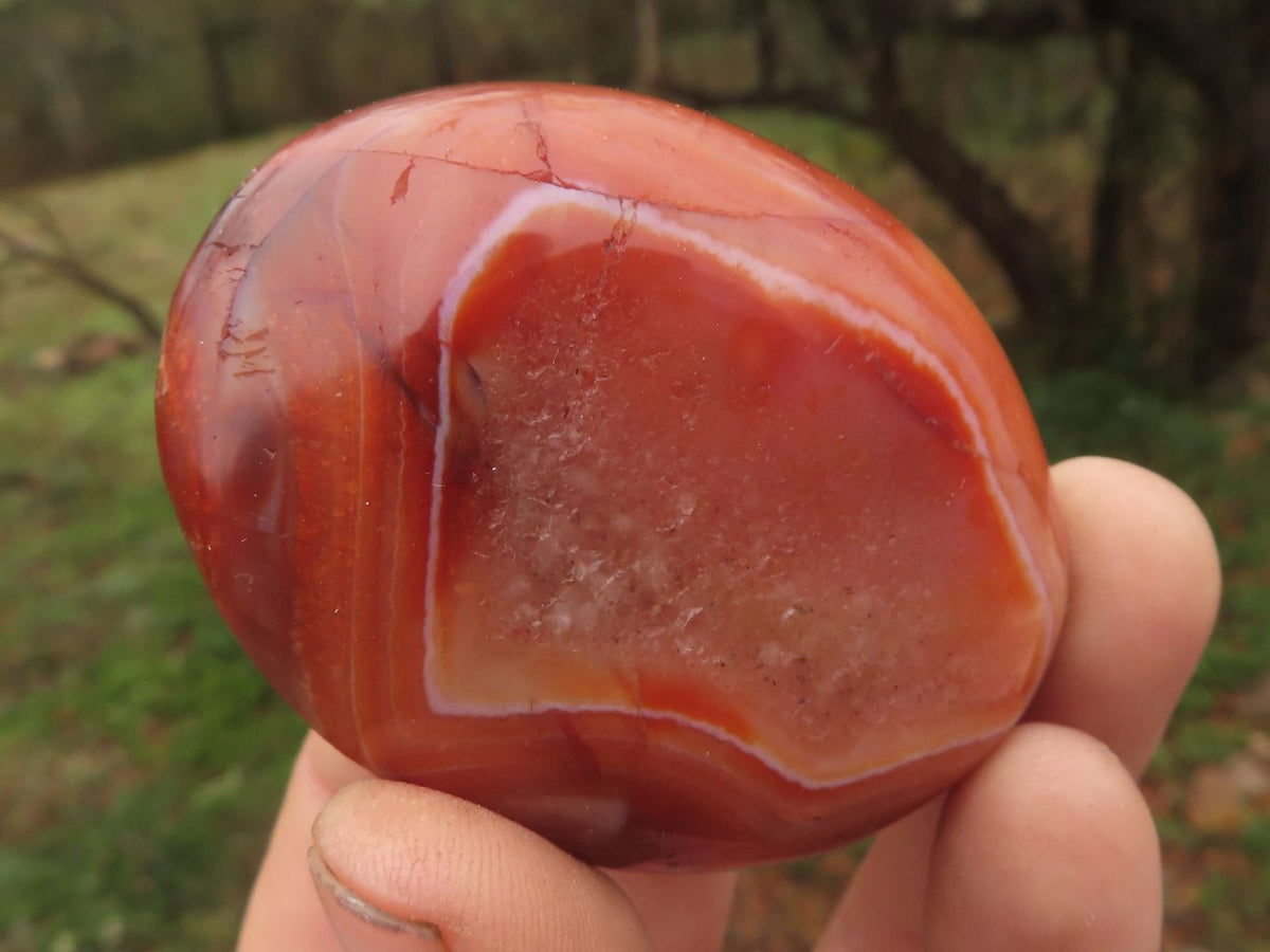 Polished Stunning Mixed Selection Of Palm Stones x 24 From Madagascar - TopRock