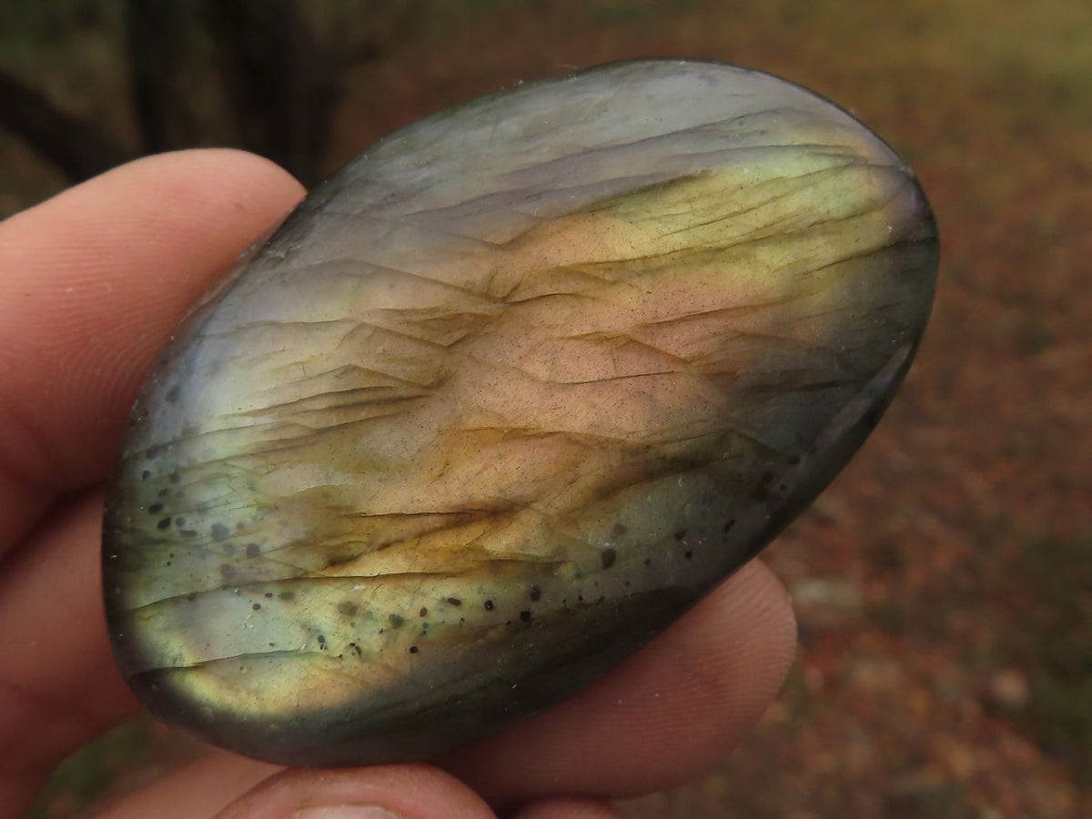 Polished Stunning Mixed Selection Of Palm Stones x 24 From Madagascar - TopRock