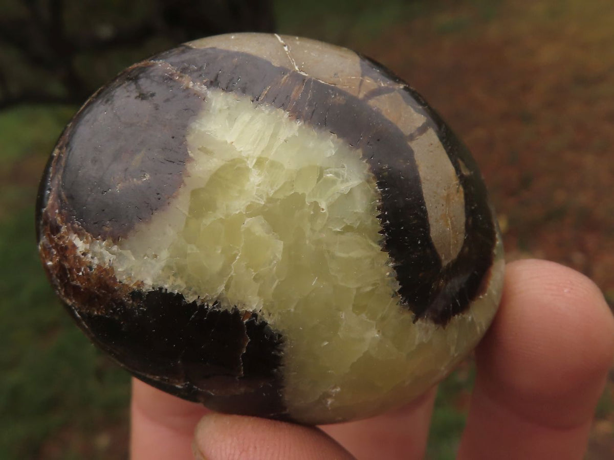 Polished Stunning Mixed Selection Of Palm Stones x 24 From Madagascar - TopRock