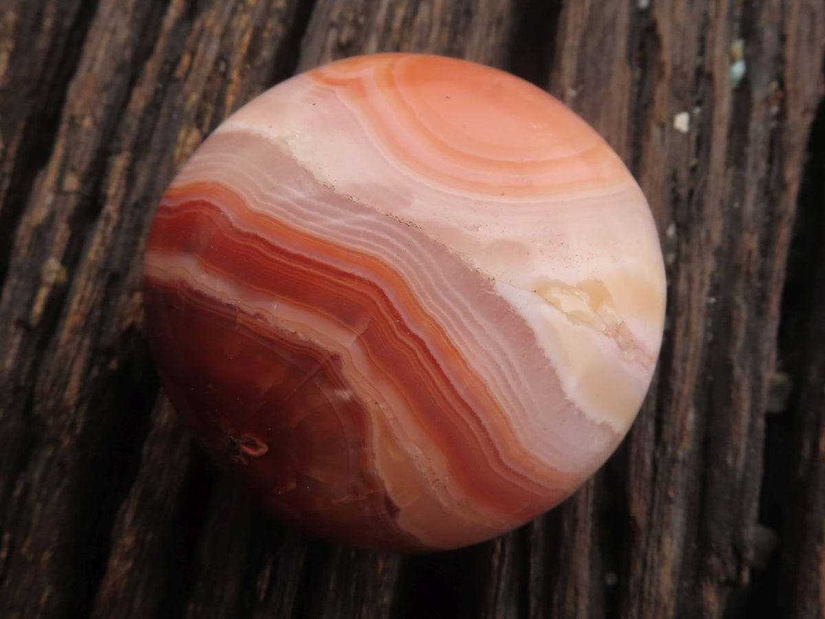 Polished Stunning Mixed Selection Of Palm Stones x 24 From Madagascar - TopRock