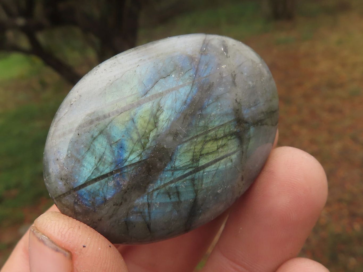 Polished Stunning Mixed Selection Of Palm Stones x 24 From Madagascar - TopRock