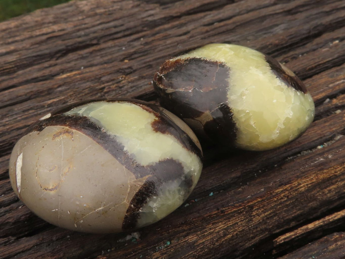 Polished Stunning Mixed Selection Of Palm Stones x 24 From Madagascar - TopRock