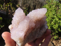 Natural Spirit Amethyst Quartz Clusters x 4 From Boekenhouthoek, South Africa - Toprock Gemstones and Minerals