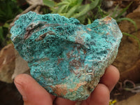 Natural Rough Blue Shattuckite Specimens  x 12 From Kaokoveld, Namibia - TopRock