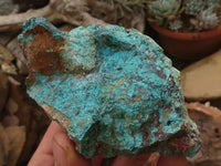 Natural Rough Blue Shattuckite Specimens  x 12 From Kaokoveld, Namibia - TopRock