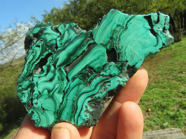 Polished Highly Selected Flower & Banded Malachite Slices x 12 From Congo - TopRock