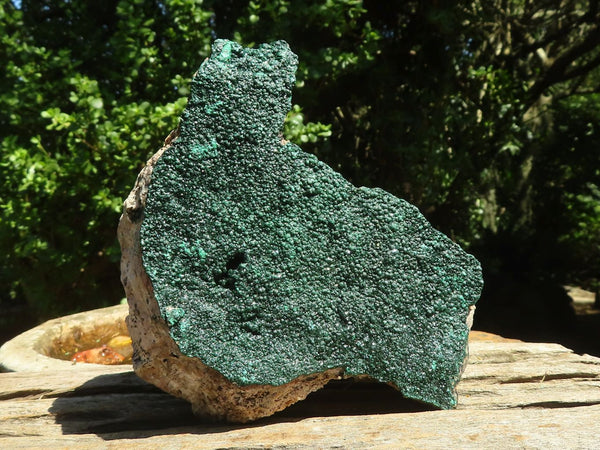 Natural Crystalline Botryoidal Malachite Specimen x 1 From Tenke Fungurume, Congo - TopRock