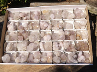 Natural Mixed Spirit Quartz Crystals x 75 From Boekenhouthoek, South Africa - Toprock Gemstones and Minerals