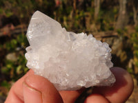 Natural Mixed Spirit Quartz Crystals x 75 From Boekenhouthoek, South Africa - Toprock Gemstones and Minerals
