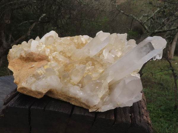 Natural Large Clear Quartz Cluster With Long Crystals x 1 From Mandrosonoro, Madagascar - TopRock