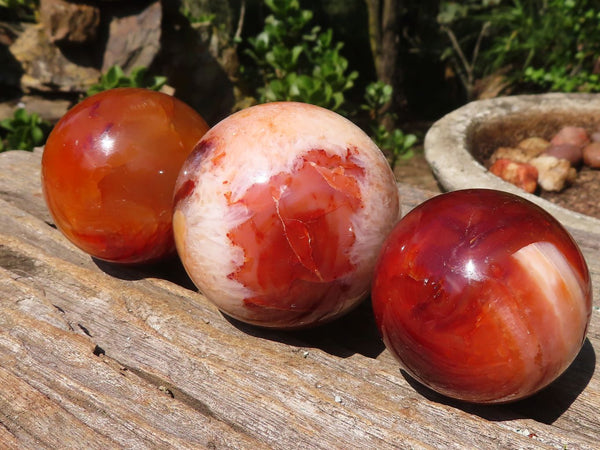 Polished Vibrant Carnelian Agate Spheres  x 6 From Madagascar - Toprock Gemstones and Minerals 
