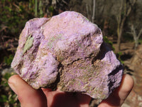 Natural Rough Stichtite & Serpentine Specimens x 13 From Barberton, South Africa - Toprock Gemstones and Minerals