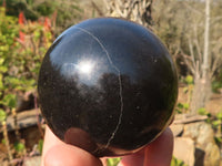 Polished Black Basalt Spheres x 2 From Madagascar - Toprock Gemstones and Minerals