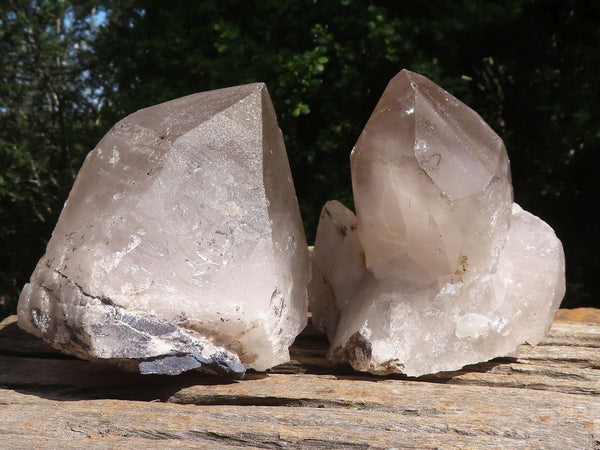Natural Large Icy Smokey Quartz Crystals  x 2 From Mulanje, Malawi - TopRock