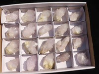 Natural Spirit Cactus Flower Quartz Crystals  x 20 From Boekenhouthoek, South Africa - Toprock Gemstones and Minerals