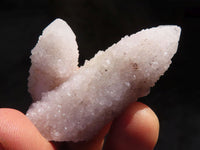Natural Spirit Cactus Flower Quartz Crystals  x 20 From Boekenhouthoek, South Africa - Toprock Gemstones and Minerals
