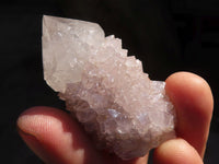 Natural Spirit Cactus Flower Quartz Crystals  x 20 From Boekenhouthoek, South Africa - Toprock Gemstones and Minerals