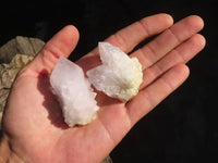 Natural Spirit Cactus Flower Quartz Crystals  x 20 From Boekenhouthoek, South Africa - Toprock Gemstones and Minerals
