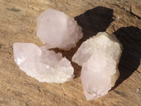 Natural Spirit Cactus Flower Quartz Crystals  x 20 From Boekenhouthoek, South Africa - Toprock Gemstones and Minerals