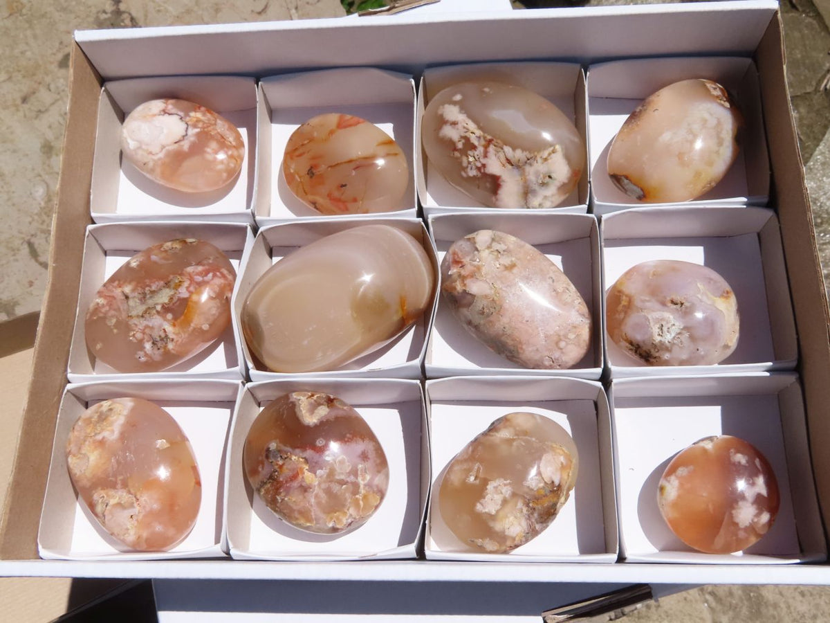 Polished Coral Flower Agate Gallets x 12 From Madagascar - TopRock