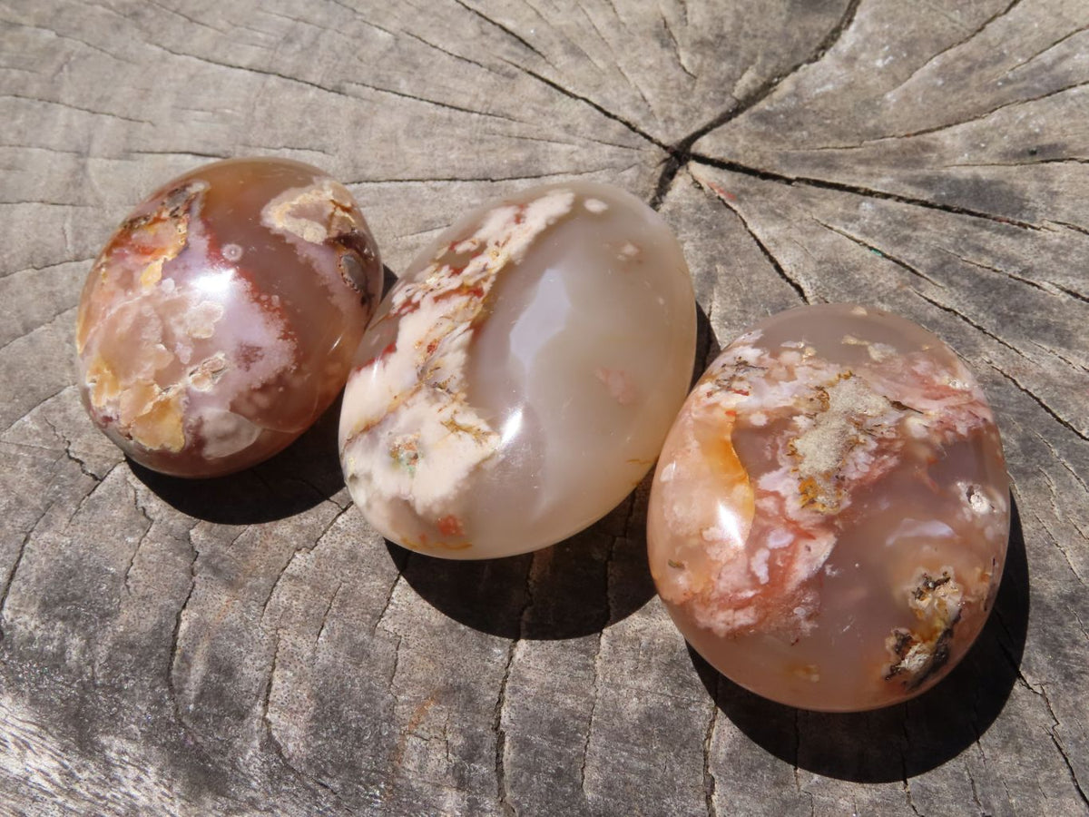 Polished Coral Flower Agate Gallets x 12 From Madagascar - TopRock