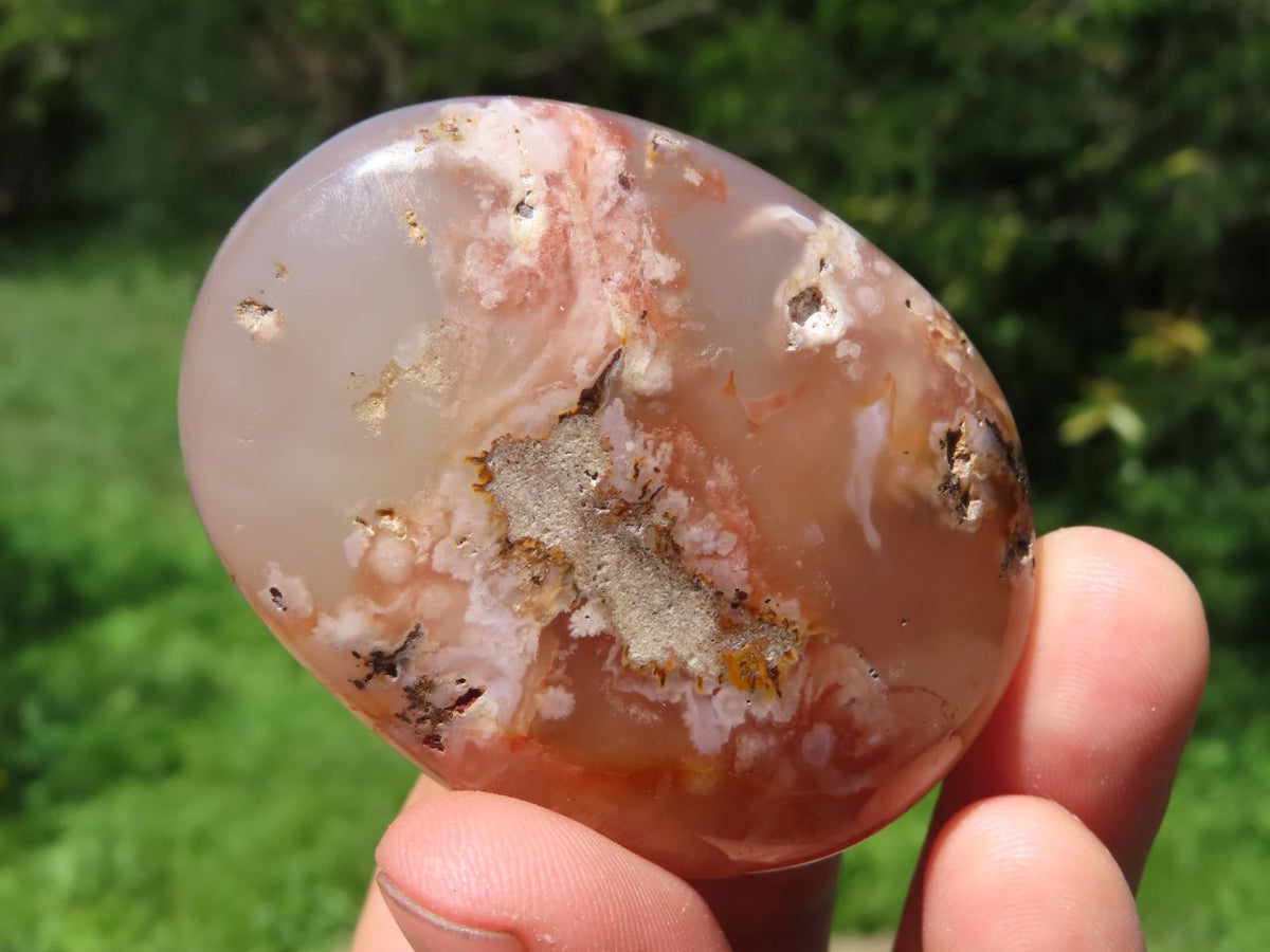 Polished Coral Flower Agate Gallets x 12 From Madagascar - TopRock