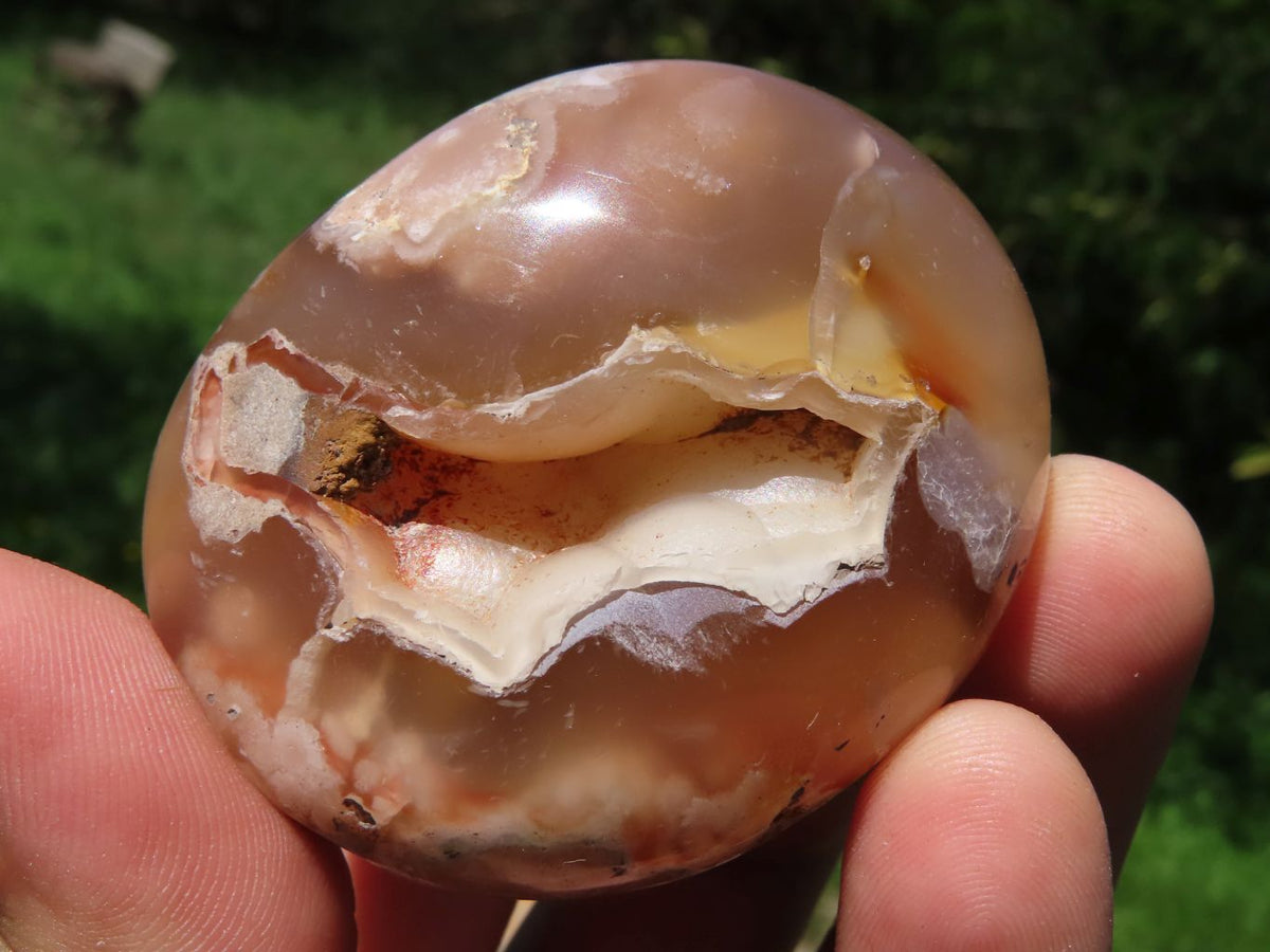 Polished Coral Flower Agate Gallets x 12 From Madagascar - TopRock