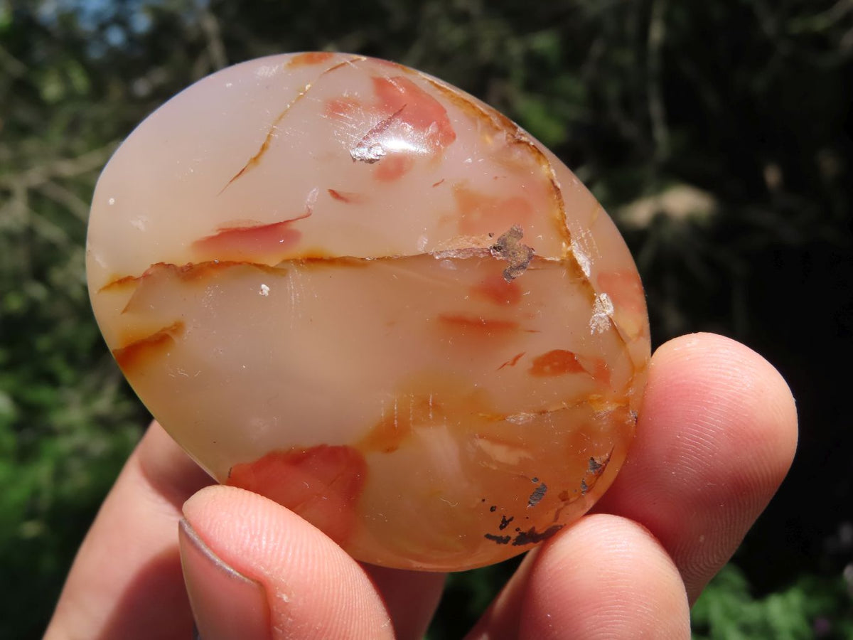 Polished Coral Flower Agate Gallets x 12 From Madagascar - TopRock