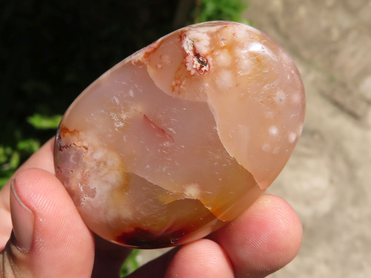 Polished Coral Flower Agate Gallets x 12 From Madagascar - TopRock