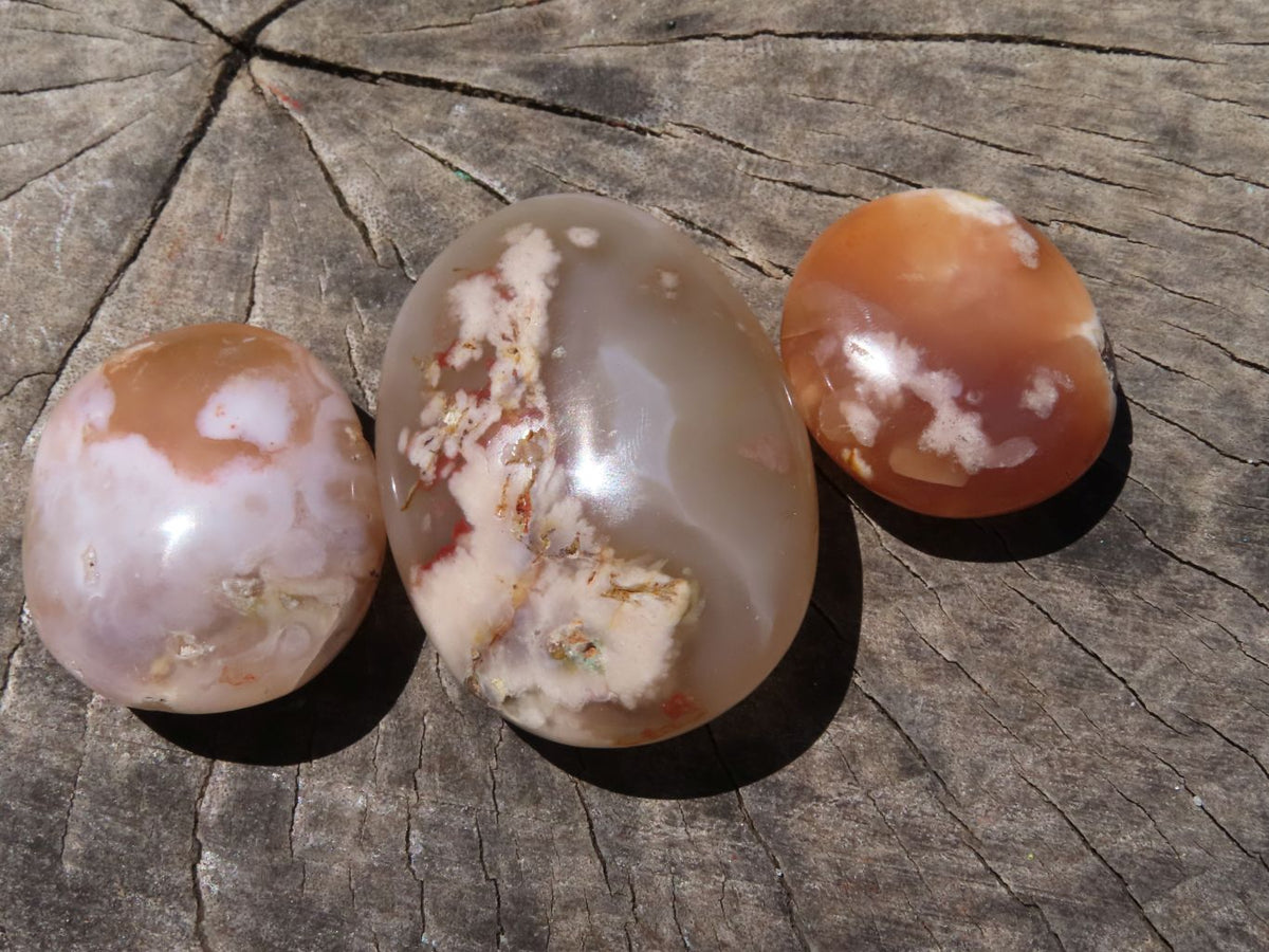 Polished Coral Flower Agate Gallets x 12 From Madagascar - TopRock